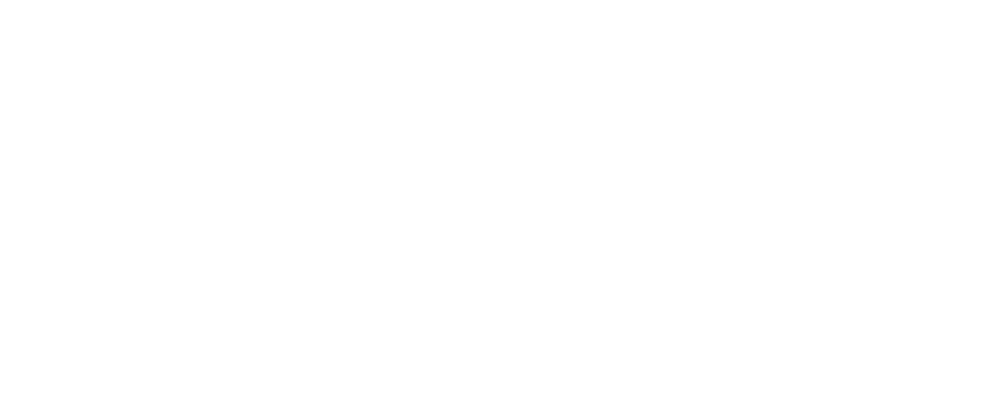 Secondary Logo White